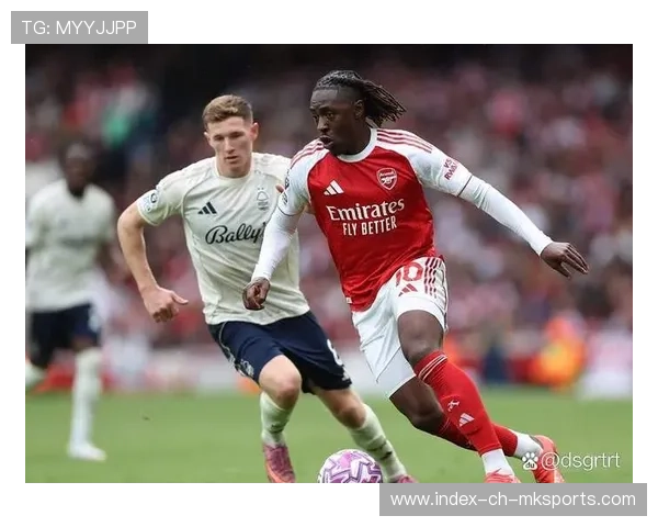 曼联新援安德森的加入为球队注入新活力，曼联安德森全名